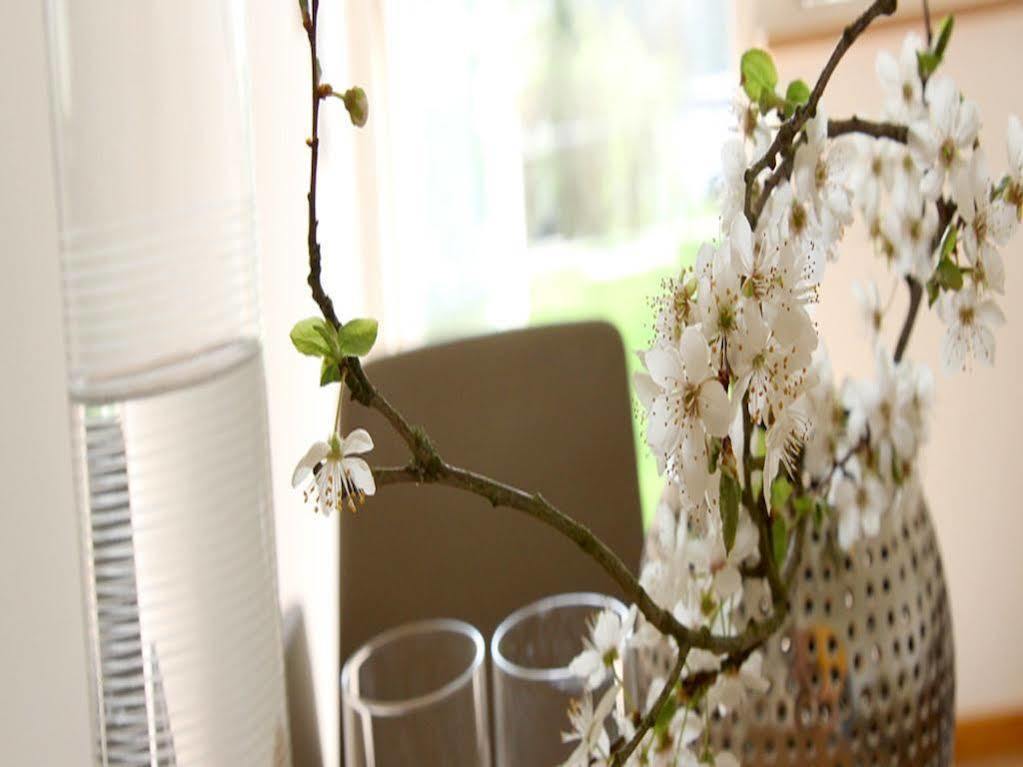 Boutique Hotel Villa Katharina Bamberg Buitenkant foto